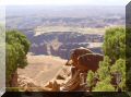 Grand View Point Overlook, sur sur le Colorado et le Maze